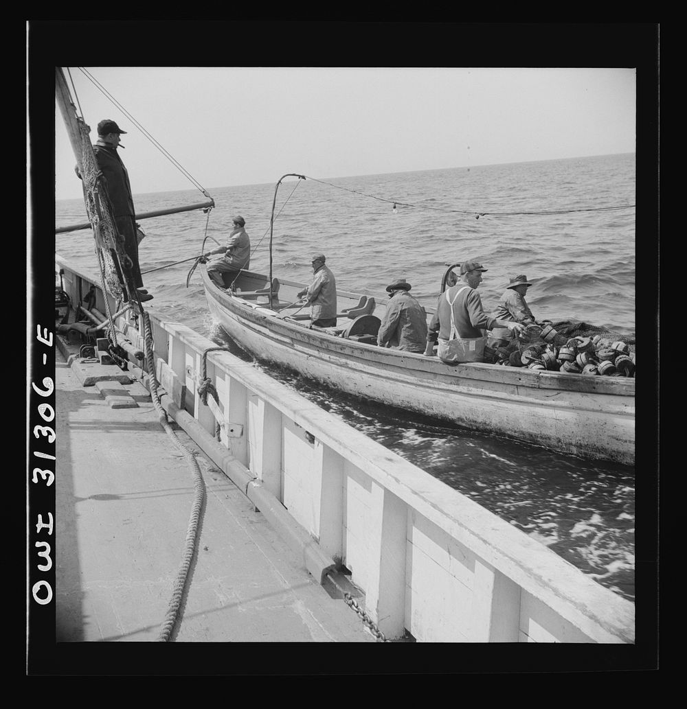 On board the fishing boat Alden, out of Gloucester, Massachusetts. A dory being pulled alongside the mother ship. Sourced…