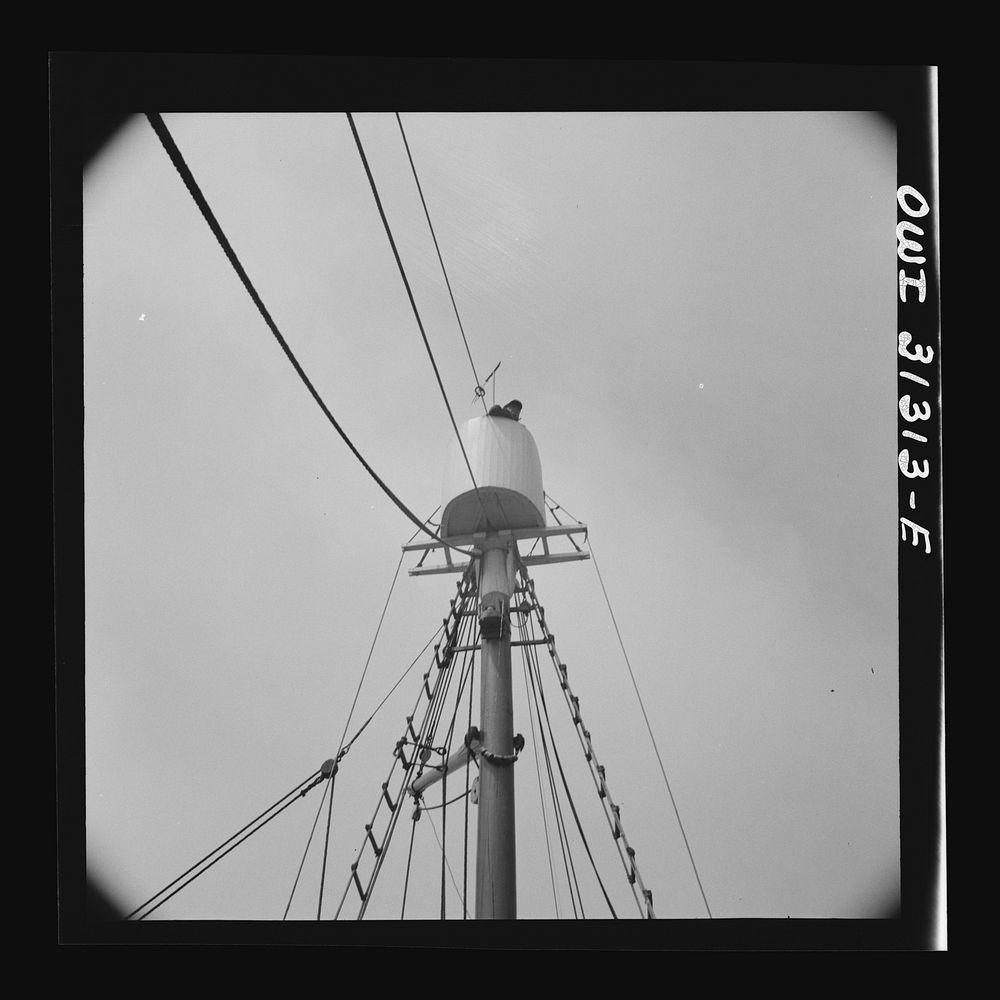 [Untitled photo, possibly related to: Frank Mineo, owner of the Alden, climbs to the crow's nest to sight the mackerel…