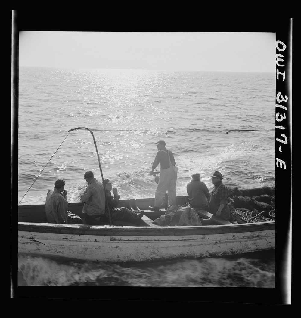 [Untitled photo, possibly related to: On board the fishing boat Alden, out of Glocester, Massachusetts. Fishermen chasing a…
