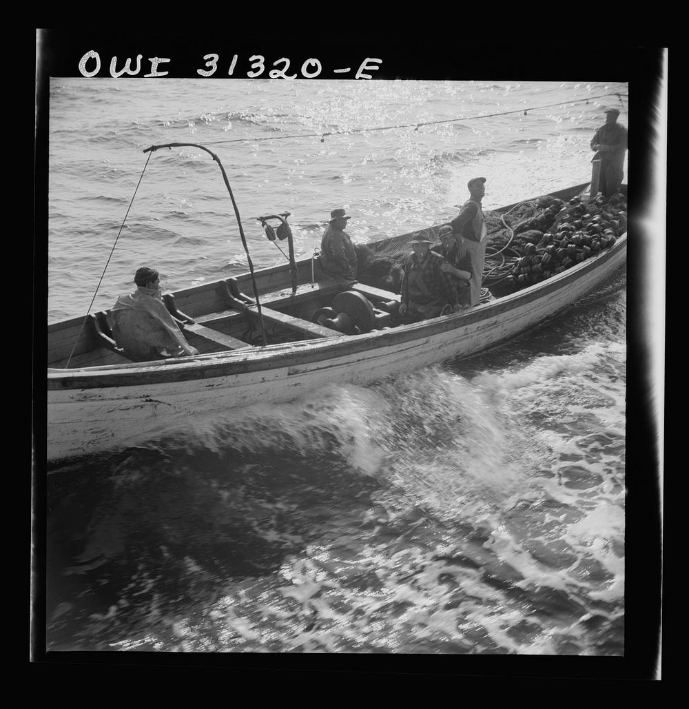 On board the fishing boat Alden, out of Glocester, Massachusetts. Fishermen chasing a school of mackerel. Sourced from the…