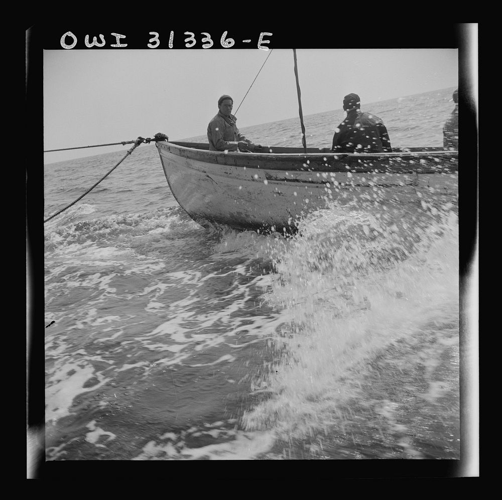 [Untitled photo, possibly related to: On board the fishing boat Alden, out of Gloucester, Massachusetts. Fishermen chasing a…