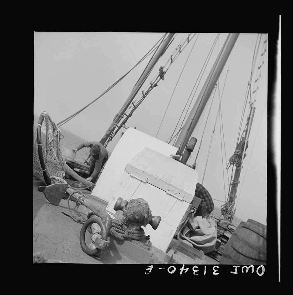[Untitled photo, possibly related to: On board the fishing boat Alden, out of Glocester, Massachusetts. Fishermen cleaning…