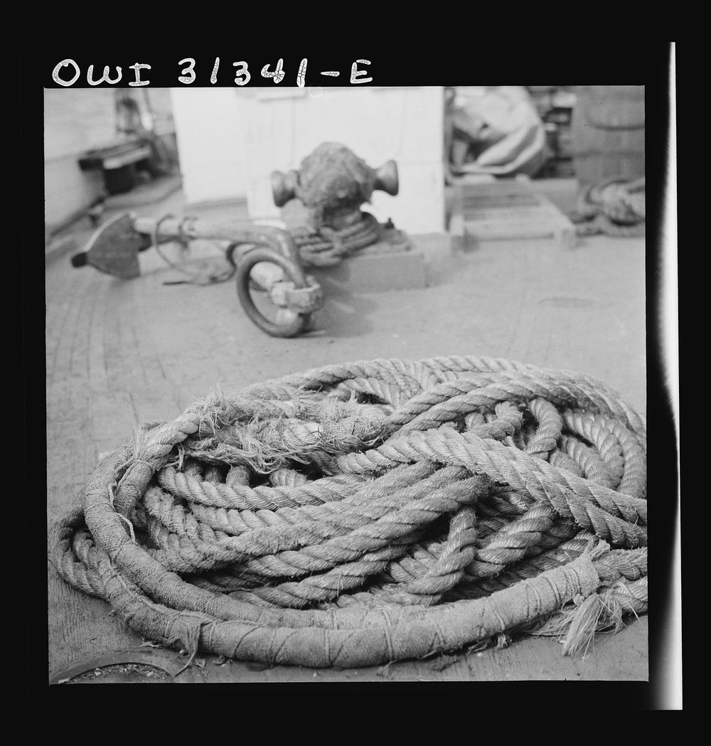 [Untitled photo, possibly related to: On board the fishing boat Alden, out of Gloucester, Massachusetts. Sea gulls following…