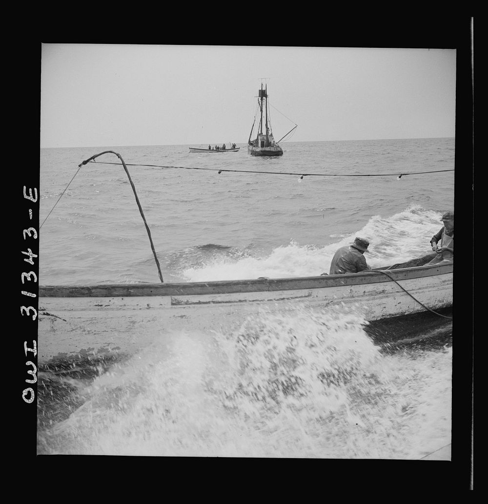 On board the fishing boat Alden out of Gloucester, Massachusetts. Searching for mackerel in the Grand Banks. Sourced from…