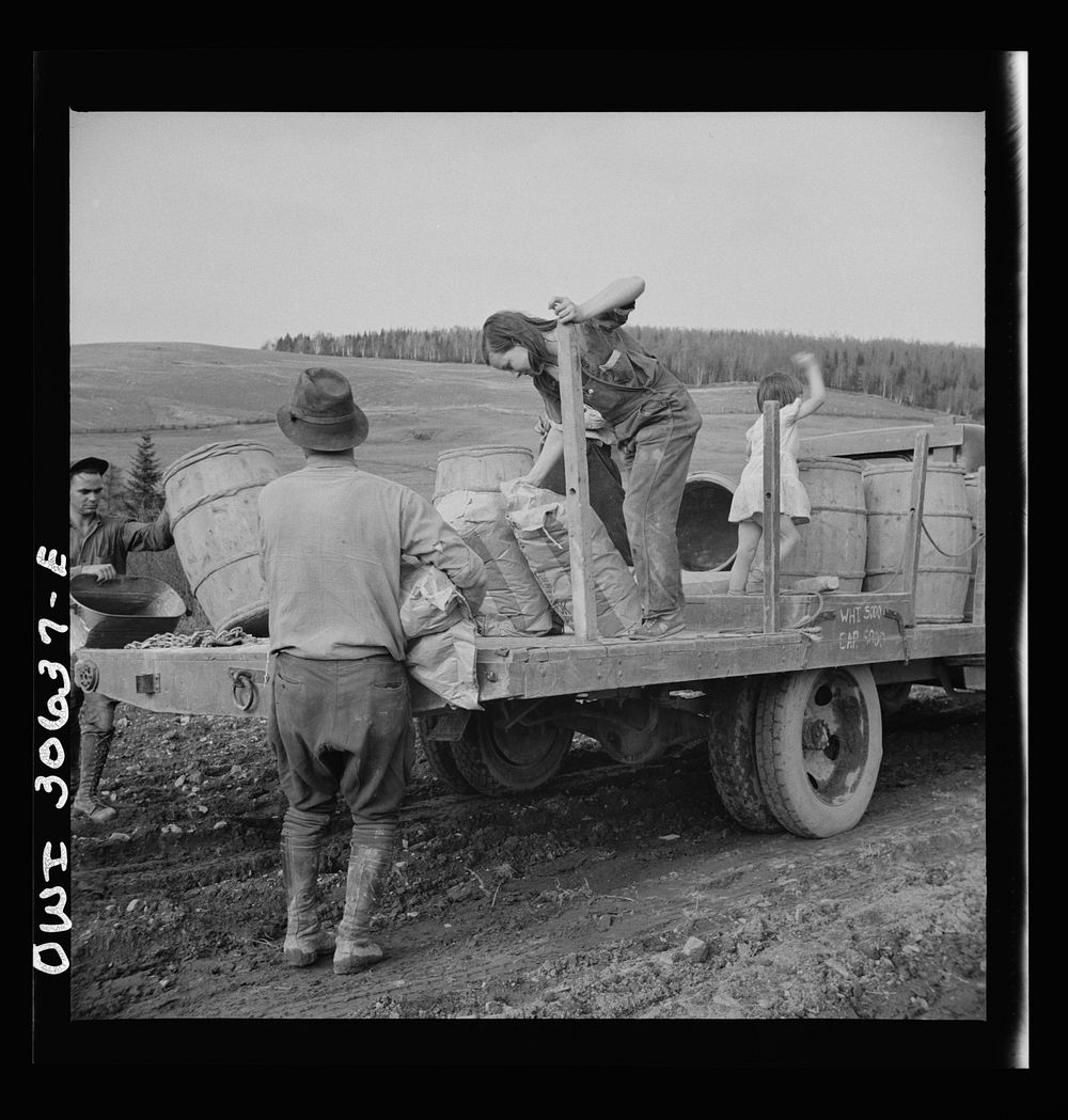 Spring potato planting on the French Acadian farm of Leonard Gagnon. Fort Kent, Aroostook County, Maine. Sourced from the…