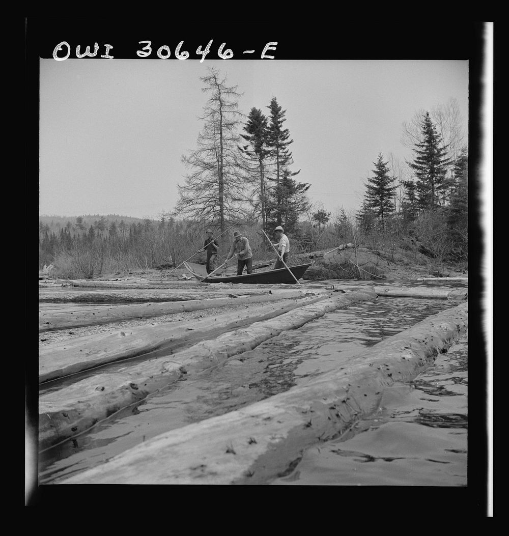 Spring pulpwood drive on the Brown Company timber holdings in Maine. Woodsmen in a "bateau" opening up on empty boom. These…