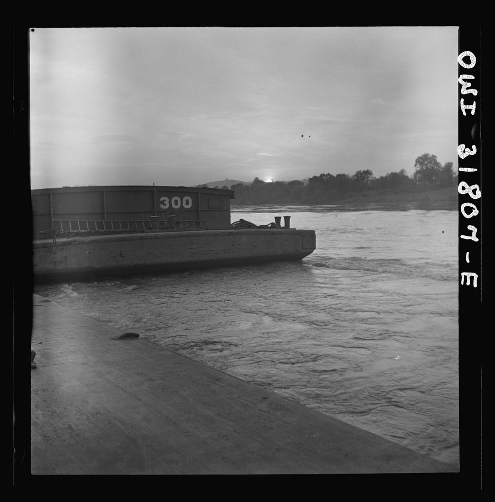 [Untitled photo, possibly related to: Barges in the tow of the towboat Ernest T. Weir going down the Ohio River to…
