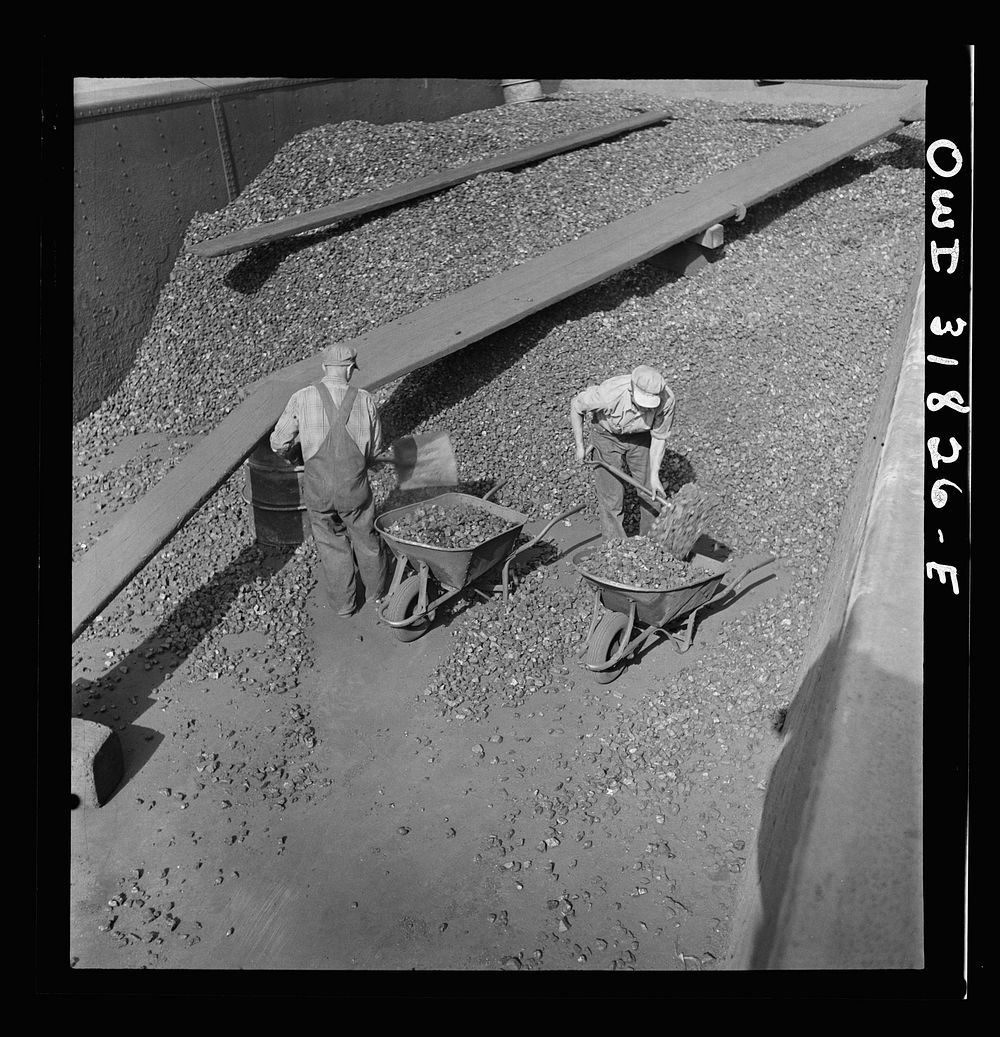 Shovelling coal to feed the boilers aboard the towboat Charles T. Campbell on the Ohio River. Sourced from the Library of…