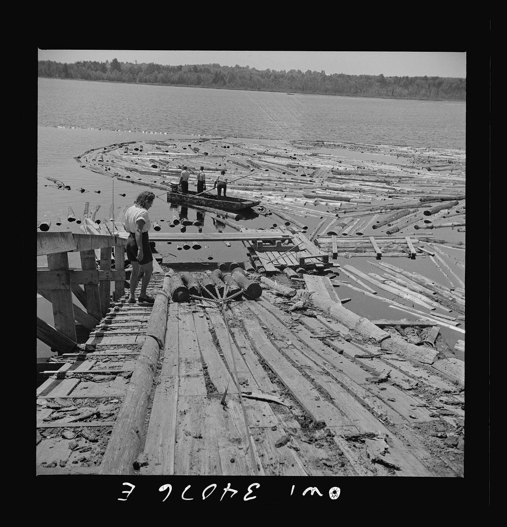Turkey Pond, near Concord, New Hampshire. Women workers employed by a U.S. Department of Agriculture timber salvage sawmill.…