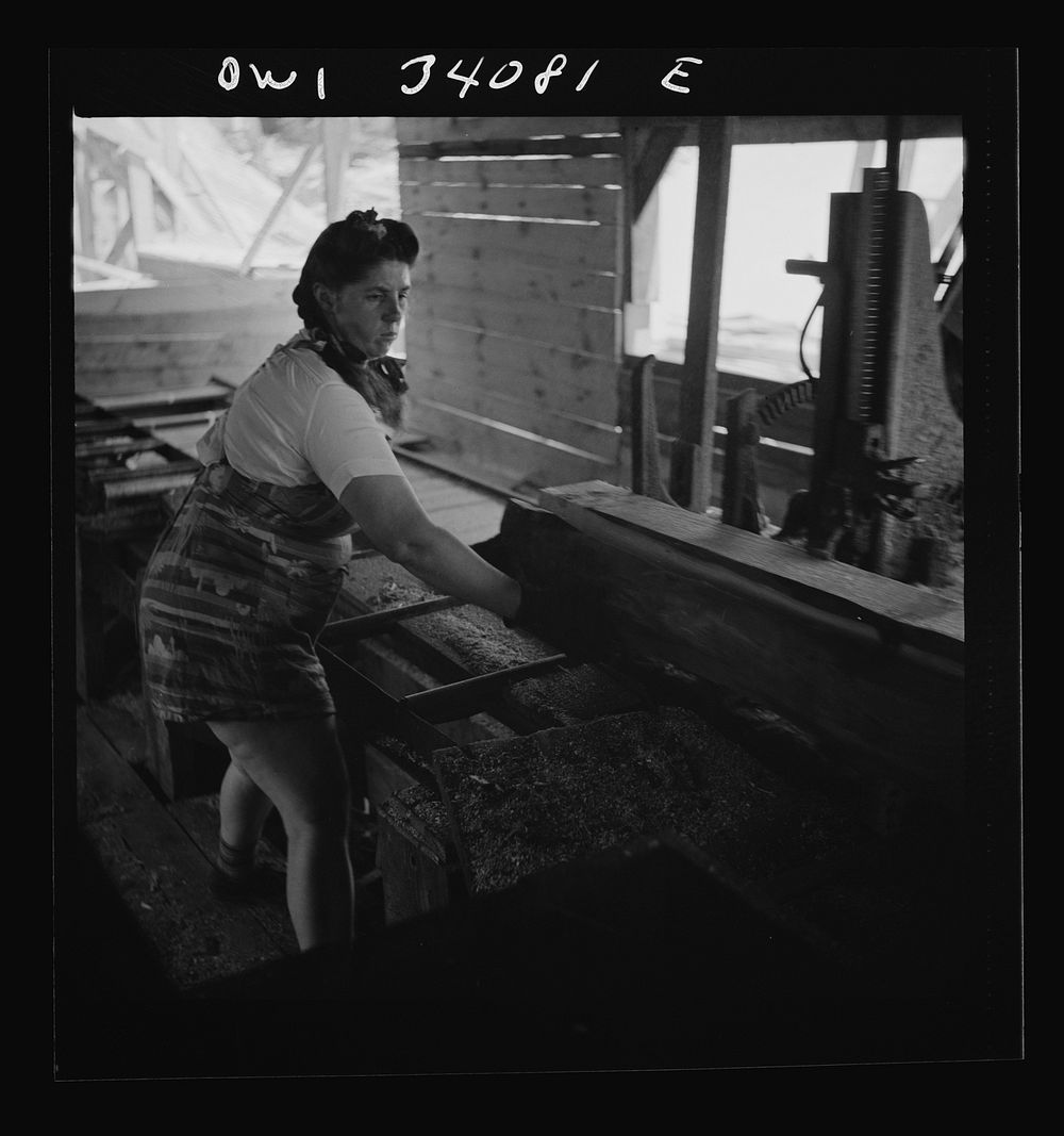 [Untitled photo, possibly related to: Turkey Pond, near Concord, New Hampshire. Women workers employed by a U.S. Department…