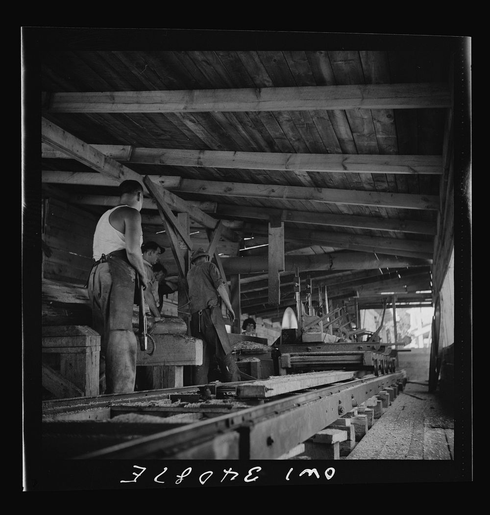 [Untitled photo, possibly related to: Turkey Pond, near Concord, New Hampshire. A U.S. Department of Agriculture timber…