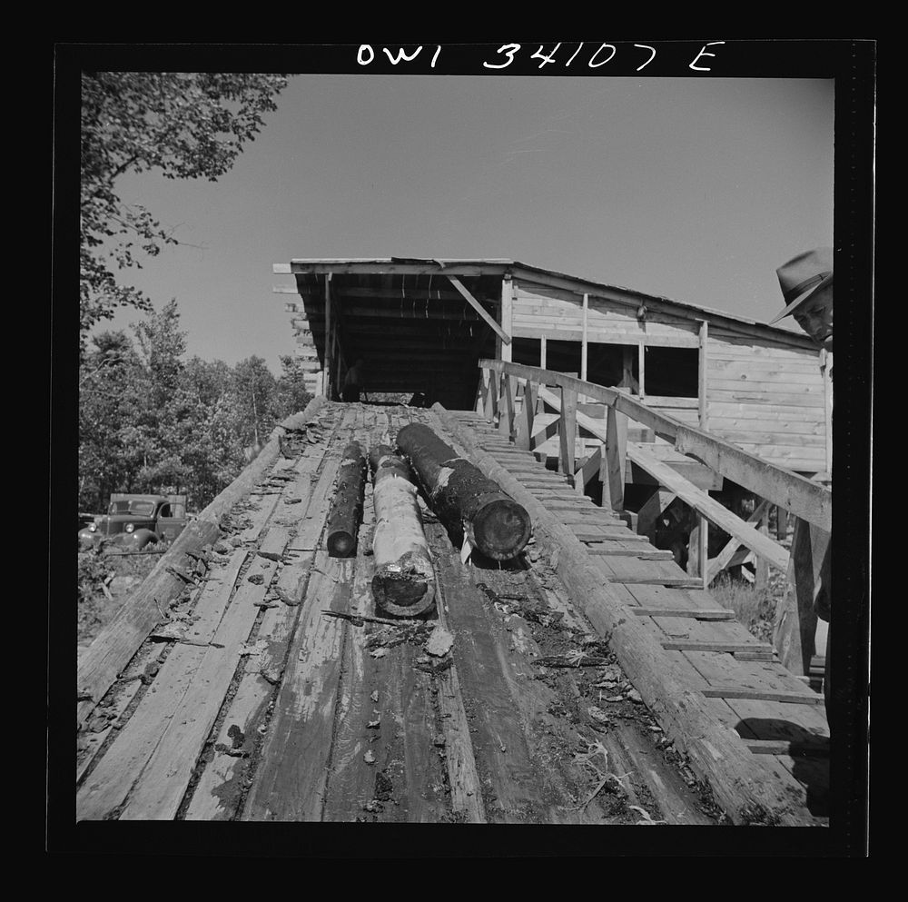 Turkey Pond, near Concord, New Hampshire. A U.S. Department of Agriculture timber salvage sawmill. The logs are chained…
