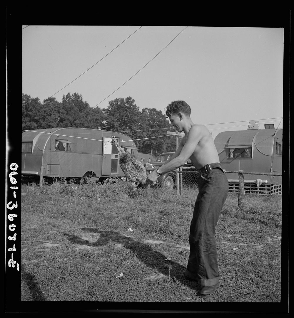 [Untitled photo, possibly related to: Middle River, Maryland. FSA (Farm Security Administration) housing project for Glenn…