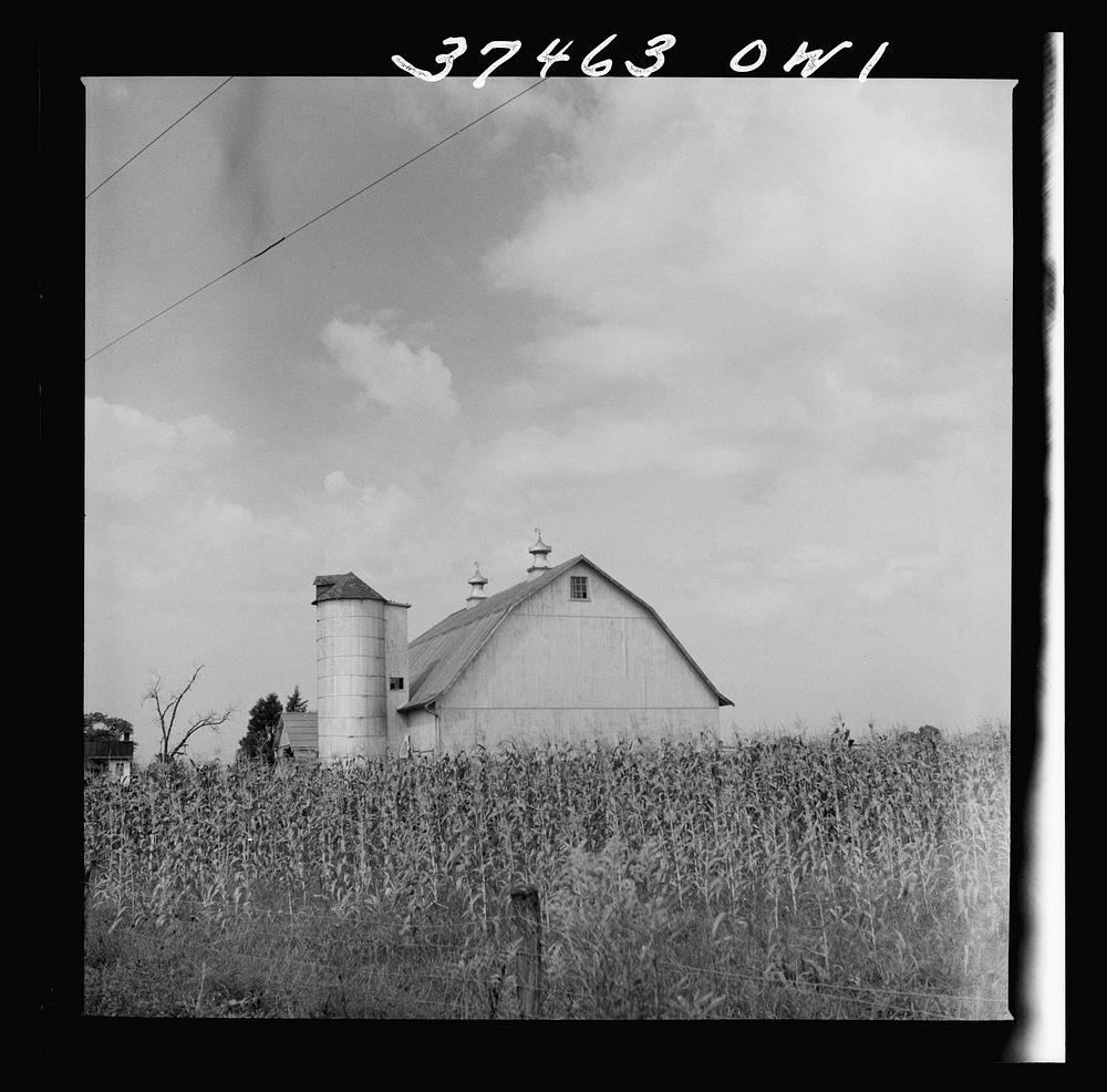 [Untitled photo, possibly related to: A farm between Columbus and Cincinnati, Ohio]. Sourced from the Library of Congress.