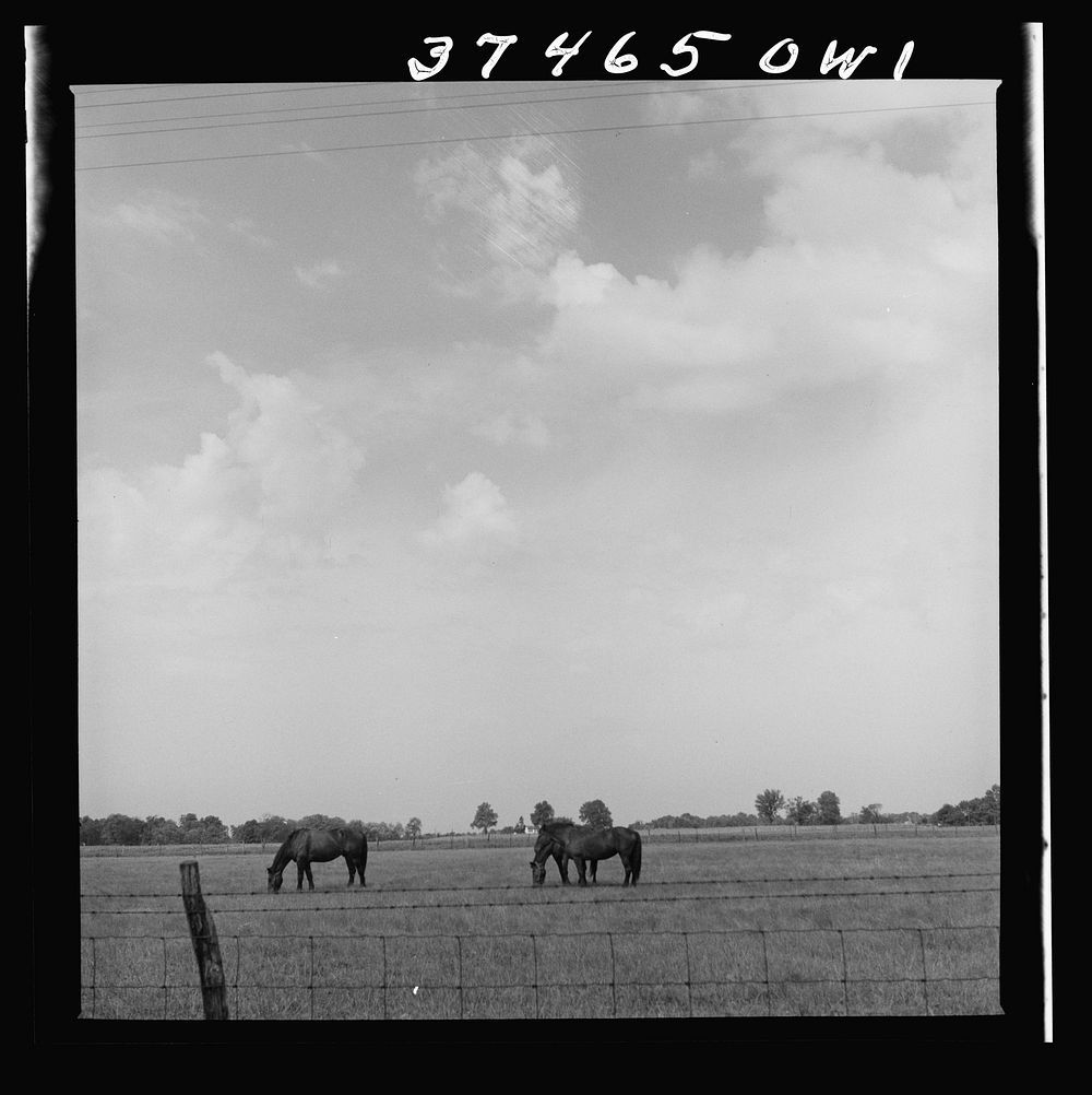 A farm between Columbus and Cincinnati, Ohio. Sourced from the Library of Congress.