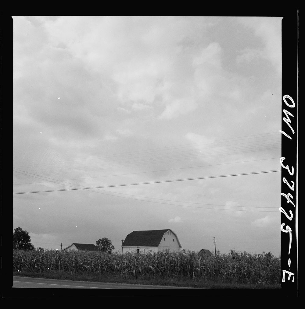 Farms along the bus route between Columbus and Cincinnati, Ohio. Sourced from the Library of Congress.