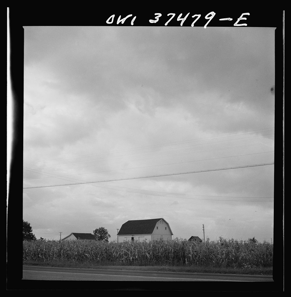 [Untitled photo, possibly related to: Farms along the bus route between Columbus and Cincinnati, Ohio]. Sourced from the…