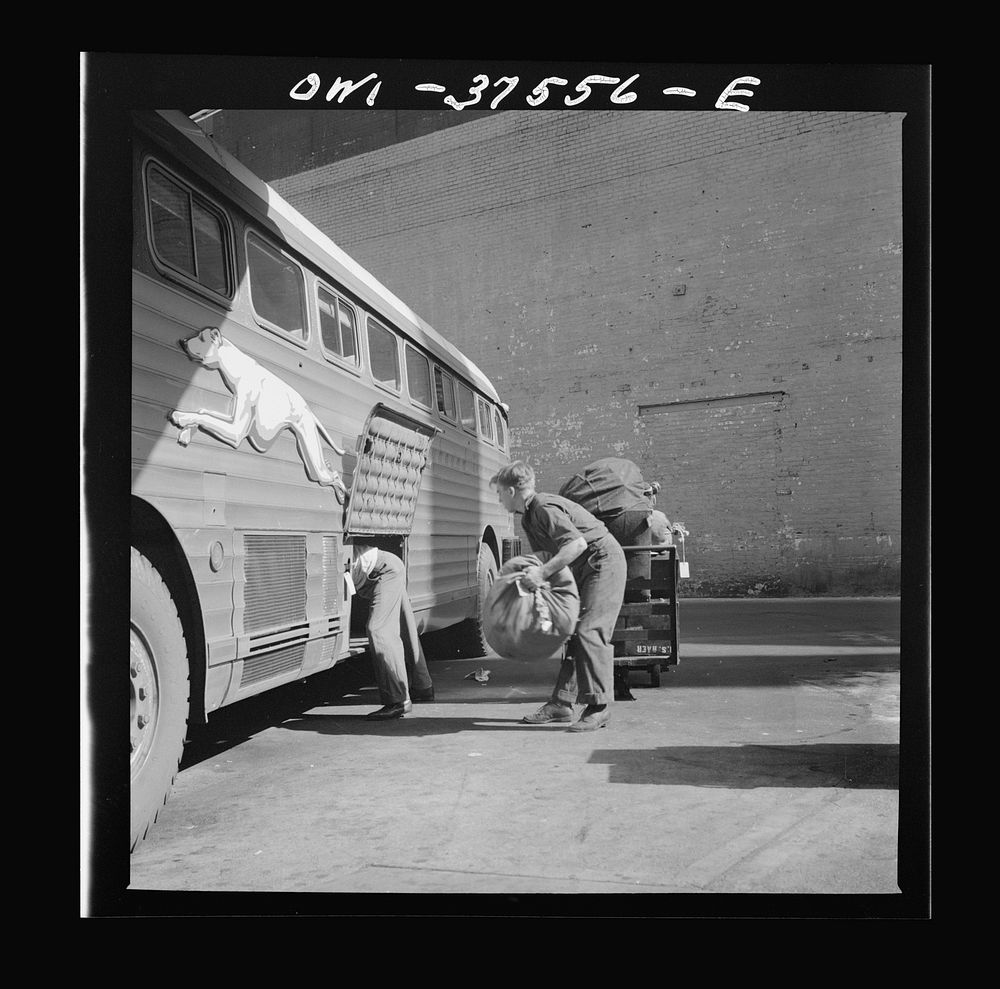 Cincinnati, Ohio. Loading baggage on a Greyhound bus at the bus terminal. Sourced from the Library of Congress.