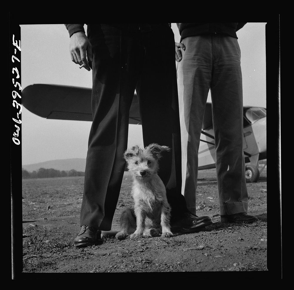 Frederick, Maryland. Greaseball, a mascot at the Stevens Airport. Sourced from the Library of Congress.