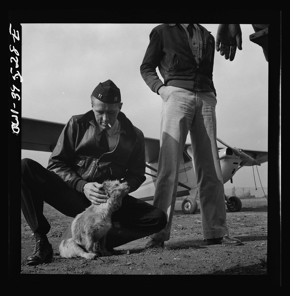 Frederick, Maryland. A student pilot removing burrs from Greaseball, a mascot at the Stevens Airport. Sourced from the…