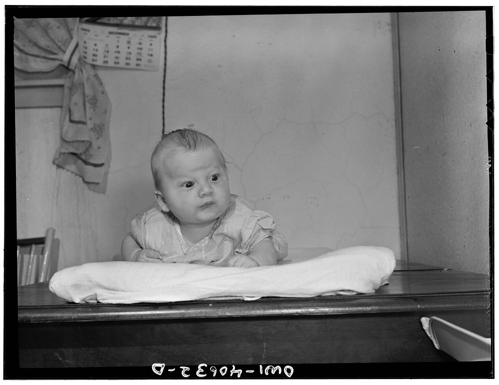 [Untitled photo, possibly related to: Washington, D.C. Joey, eight weeks old son of Hugh Massman, a student at the Naval Air…