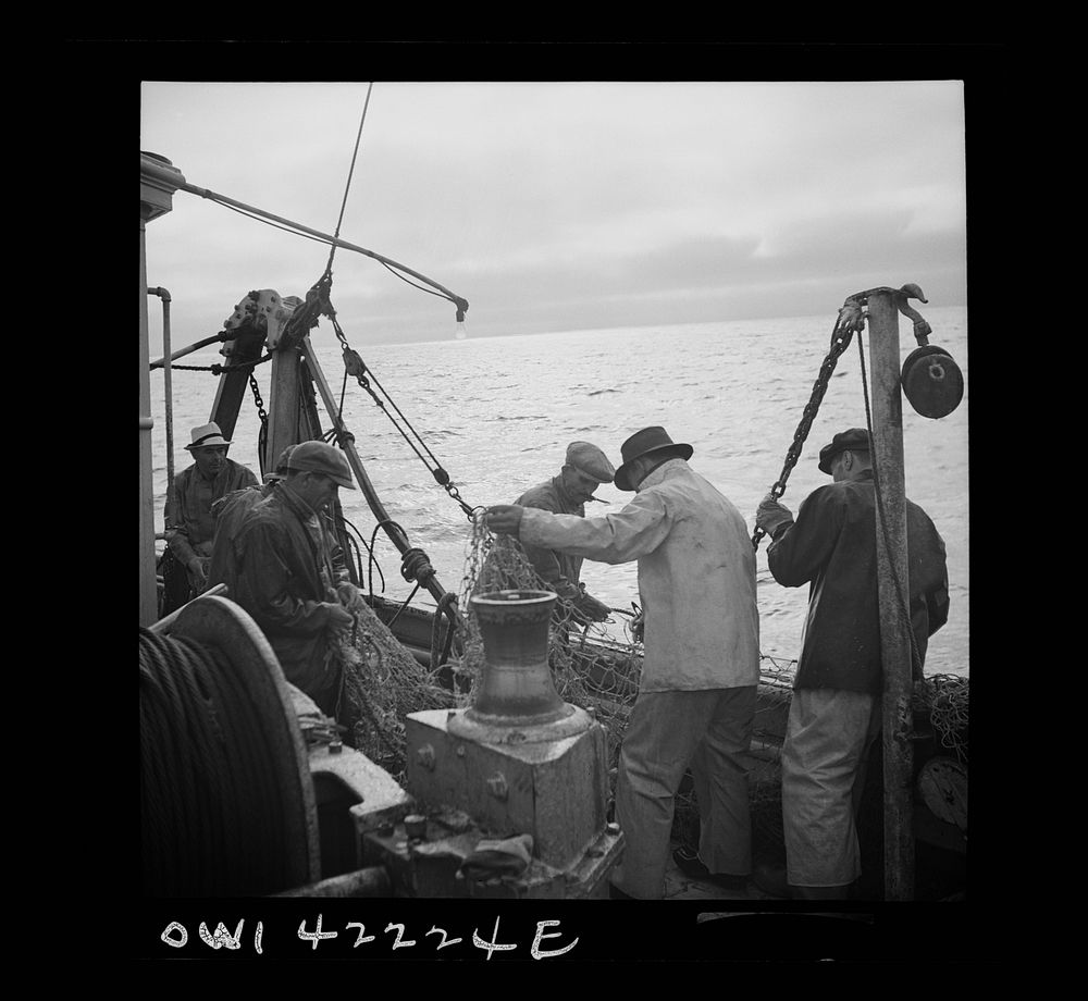 Gloucester, Massachusetts. At sunset fishermen mend nets torn by rocks on the ocean floor. A shortage of linen twine and…