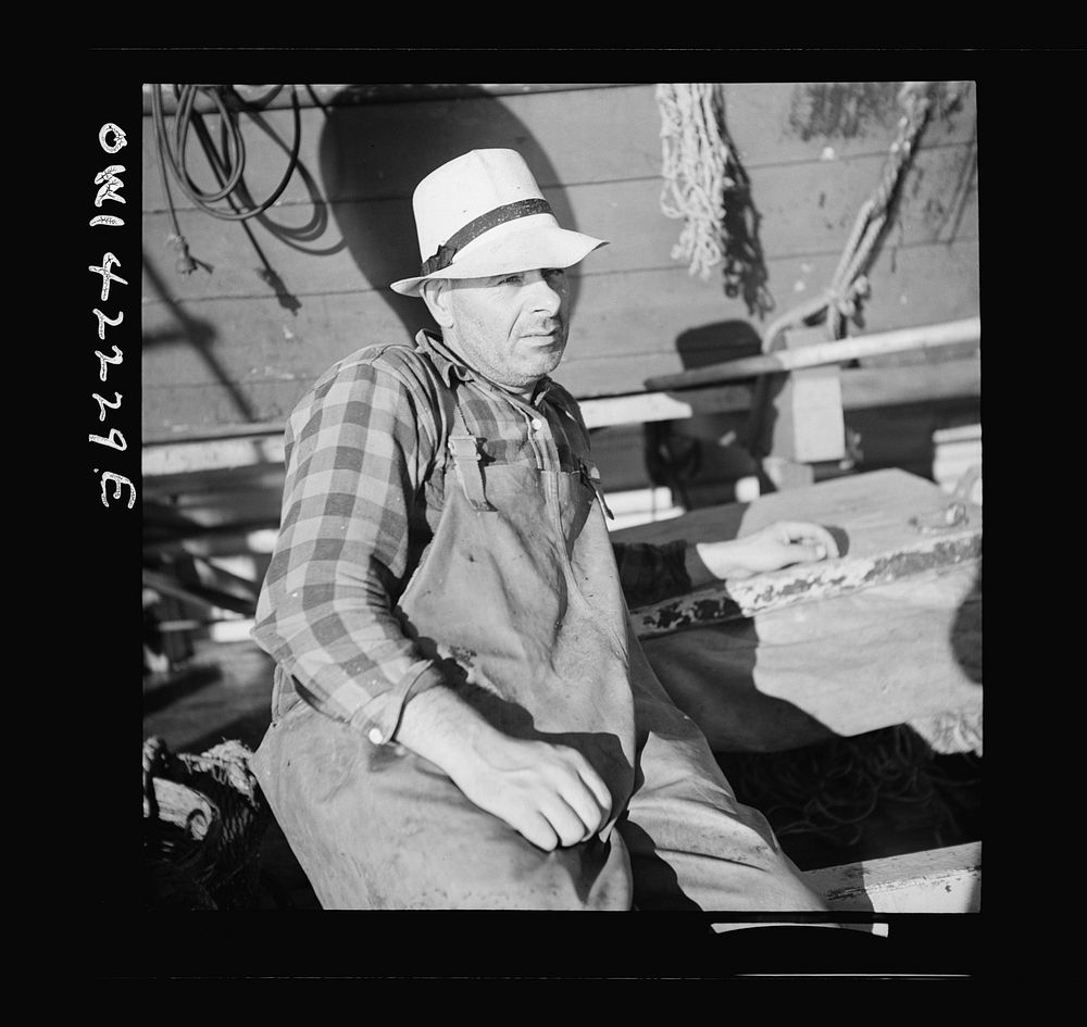 Gloucester, Massachusetts. Portrait of a fisherman. Sourced from the Library of Congress.