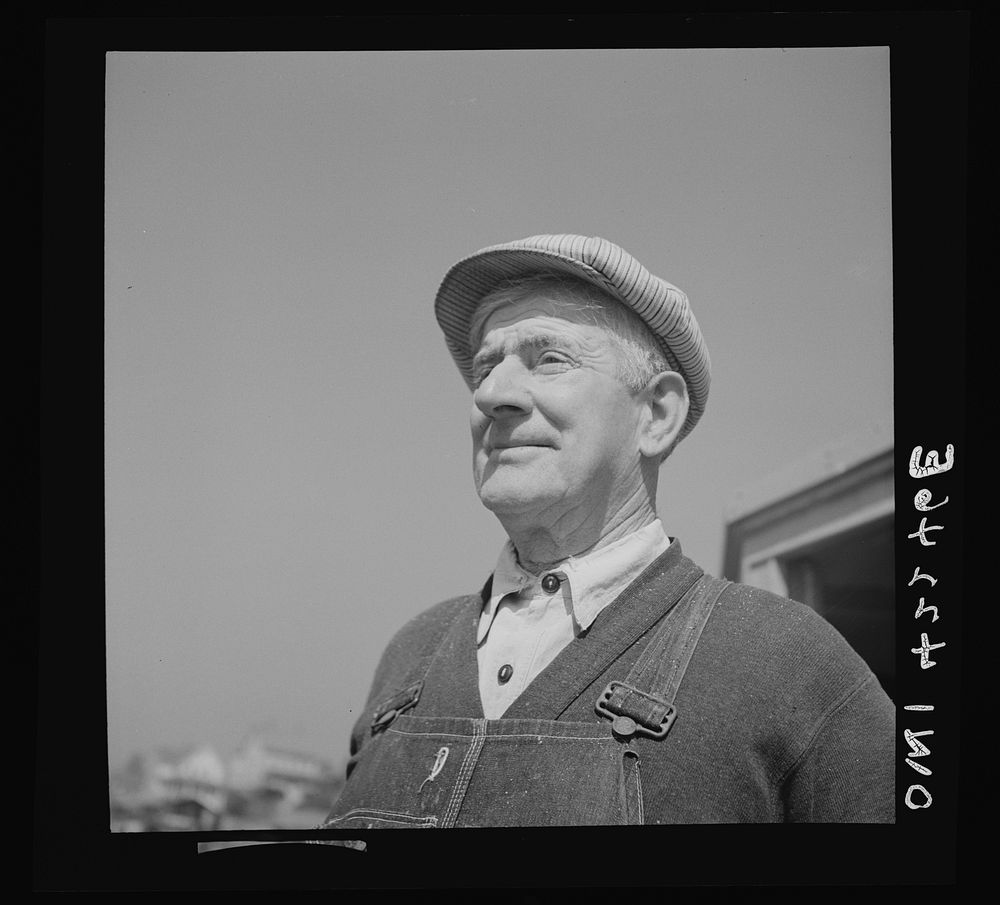 Gloucester, Massachusetts. A shore worker engaged in the fish packing industry. Sourced from the Library of Congress.