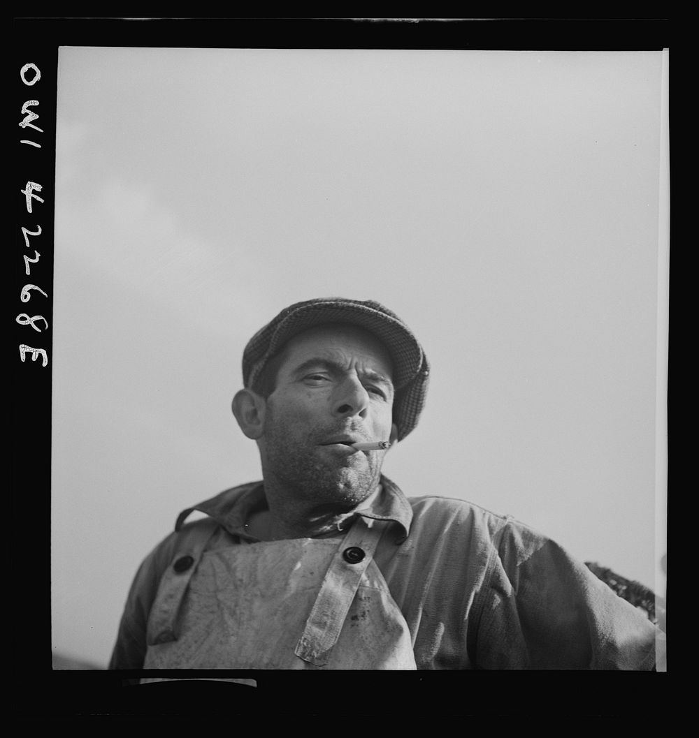 Gloucester, Massachusetts. On board a fishing vessel. Portrait of a fisherman. Sourced from the Library of Congress.