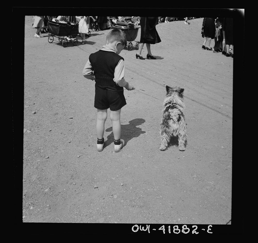 [Untitled photo, possibly related to: Southington, Connecticut. A small boy]. Sourced from the Library of Congress.