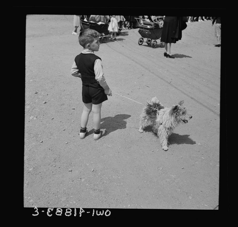 Southington, Connecticut.  A small boy. Sourced from the Library of Congress.