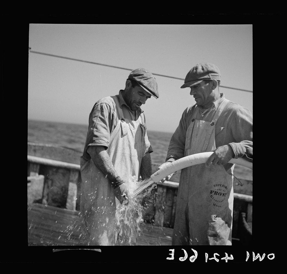 [Untitled photo, possibly related to: On board a fishing vessel, out from Gloucester, Massachusetts. Fishermen on the deck…