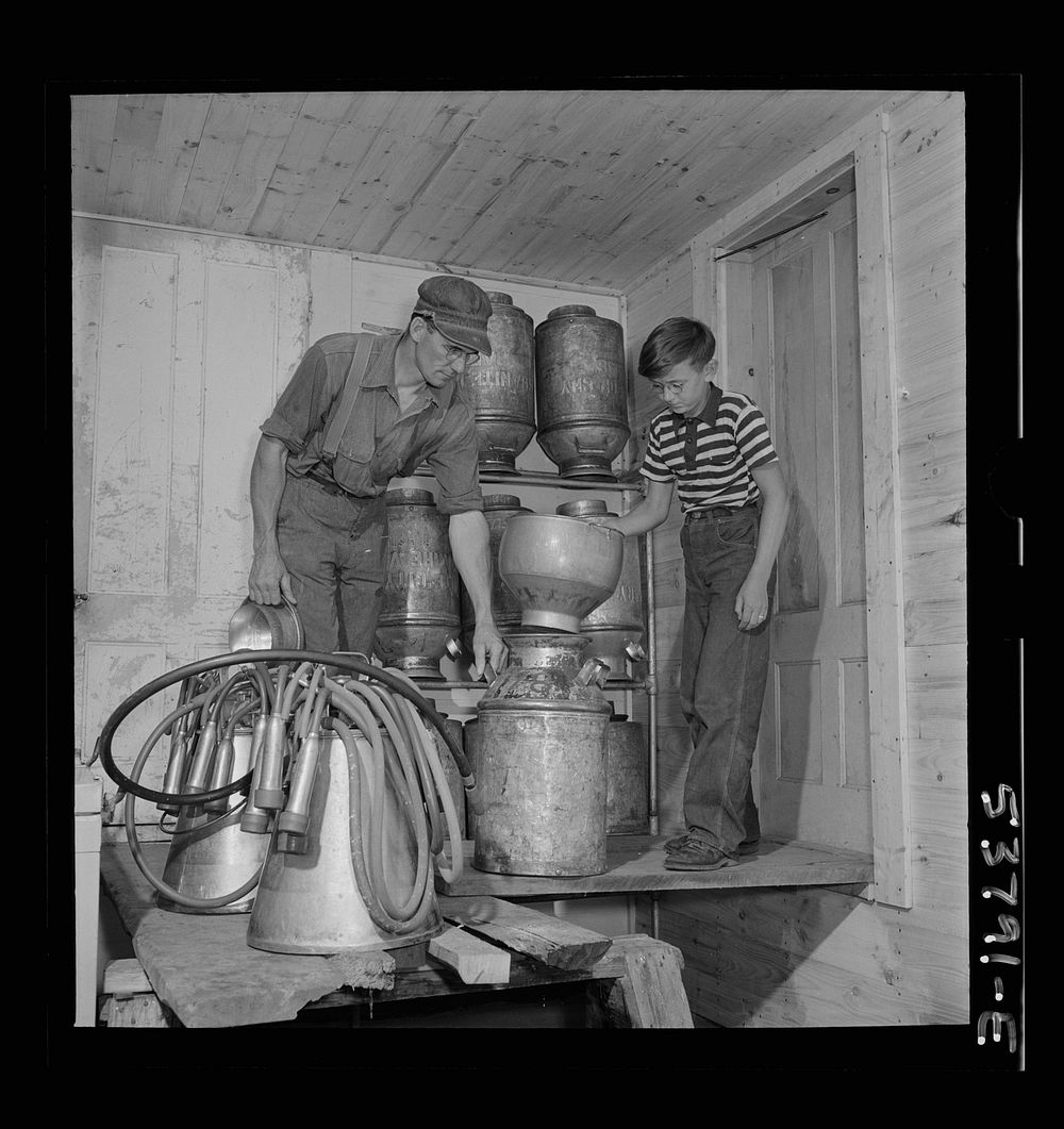 East Montpelier, Vermont. Charles Ormsbee and his son Conrad, age eleven, in the milk house on their farm. Mr. Ormsbee, with…