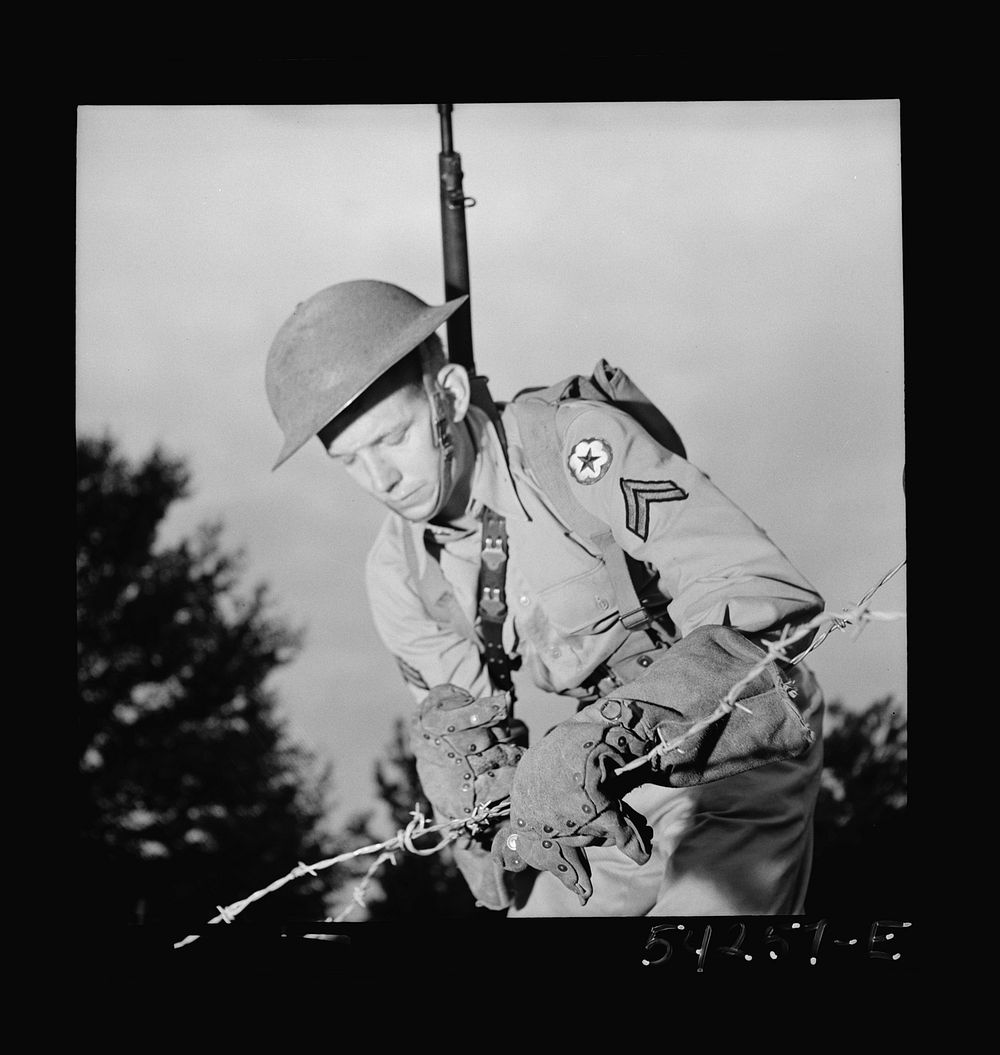 Fort Belvoir, Virginia. A soldier handling barbed wire with special gloves which are clasped instead of sewn together.…