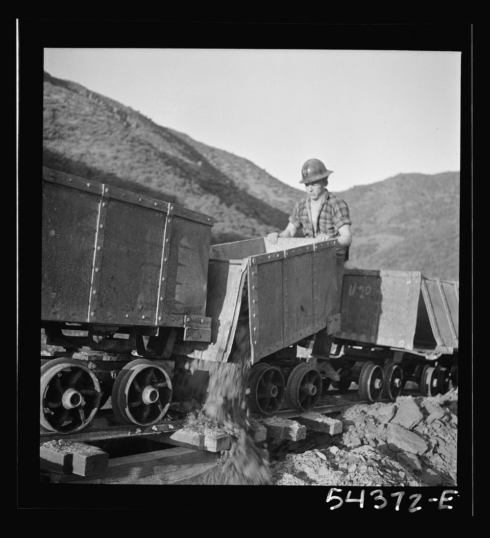 Kingman (vicinity), Arizona. A workman unloading mine cars that have been hauling tungsten ore from the Boriana mine…