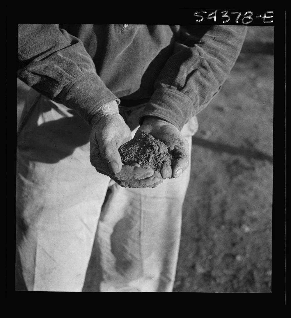 Kingman (vicinity), Arizona. Powdered tungsten ore, mined near Kingman at the Boriana workings. This ore is used to increase…