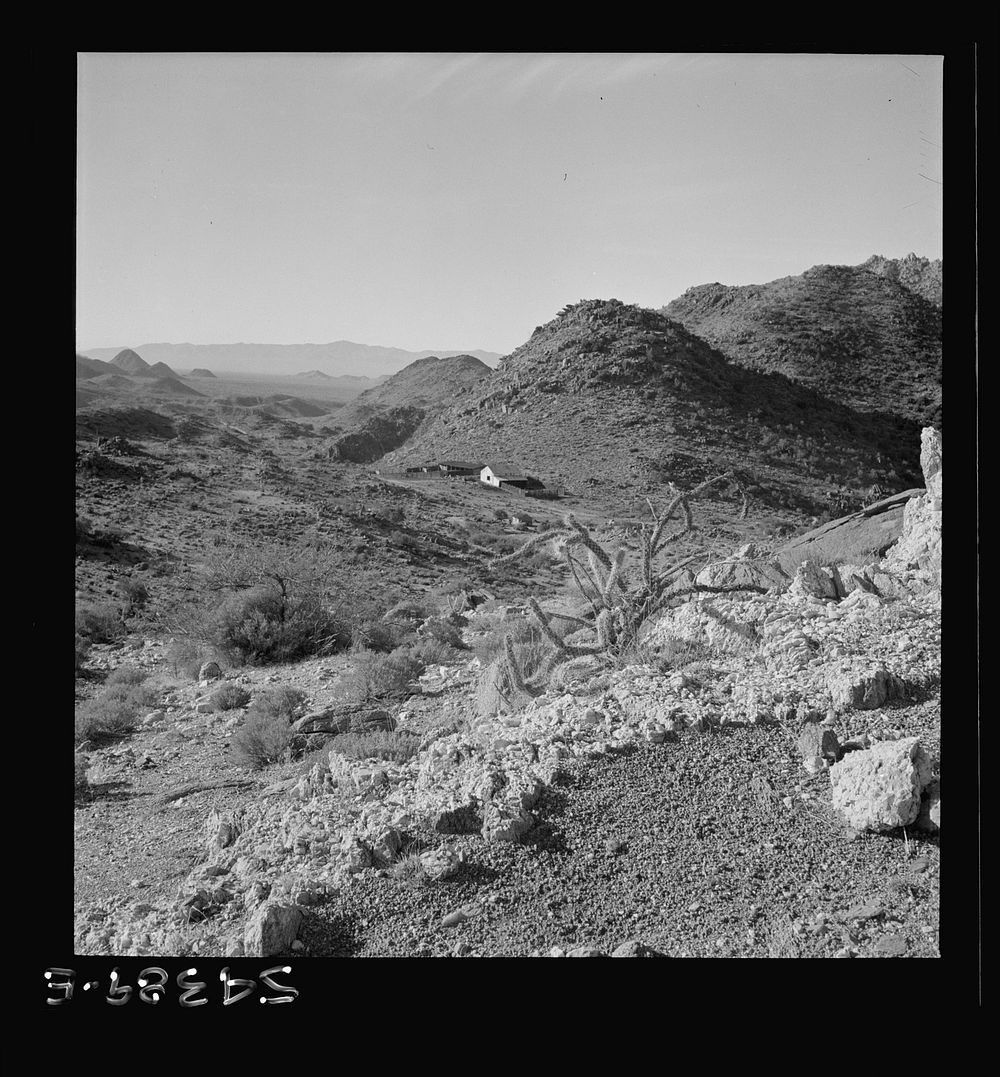 [Untitled photo, possibly related to: Kingman (vicinity), Arizona. A view of a lonely ranch on the road to the Boriana mine…