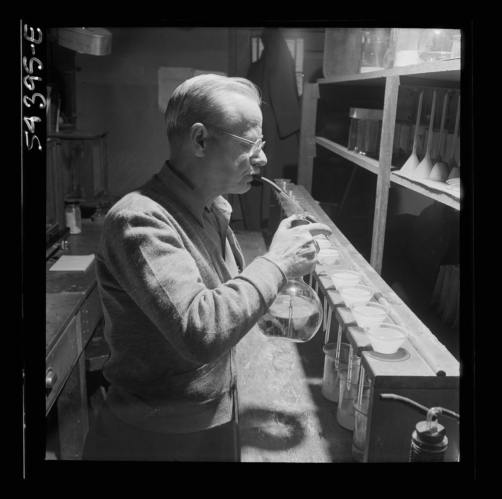 [Untitled photo, possibly related to: Kingman (vicinity), Arizona. Mr. Relling, scientist in the laboratory of a…