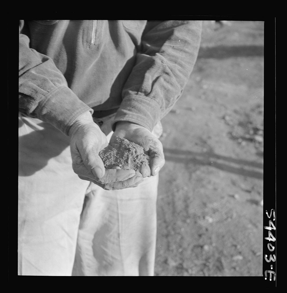 [Untitled photo, possibly related to: Kingman (vicinity), Arizona. Powdered tungsten ore, mined near Kingman at the Boriana…
