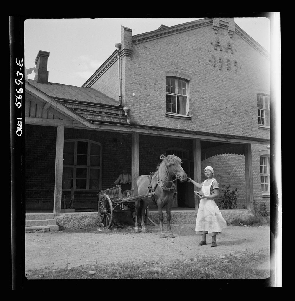 Miscellaneous lot photographs Barbara Wright. Free Photo rawpixel