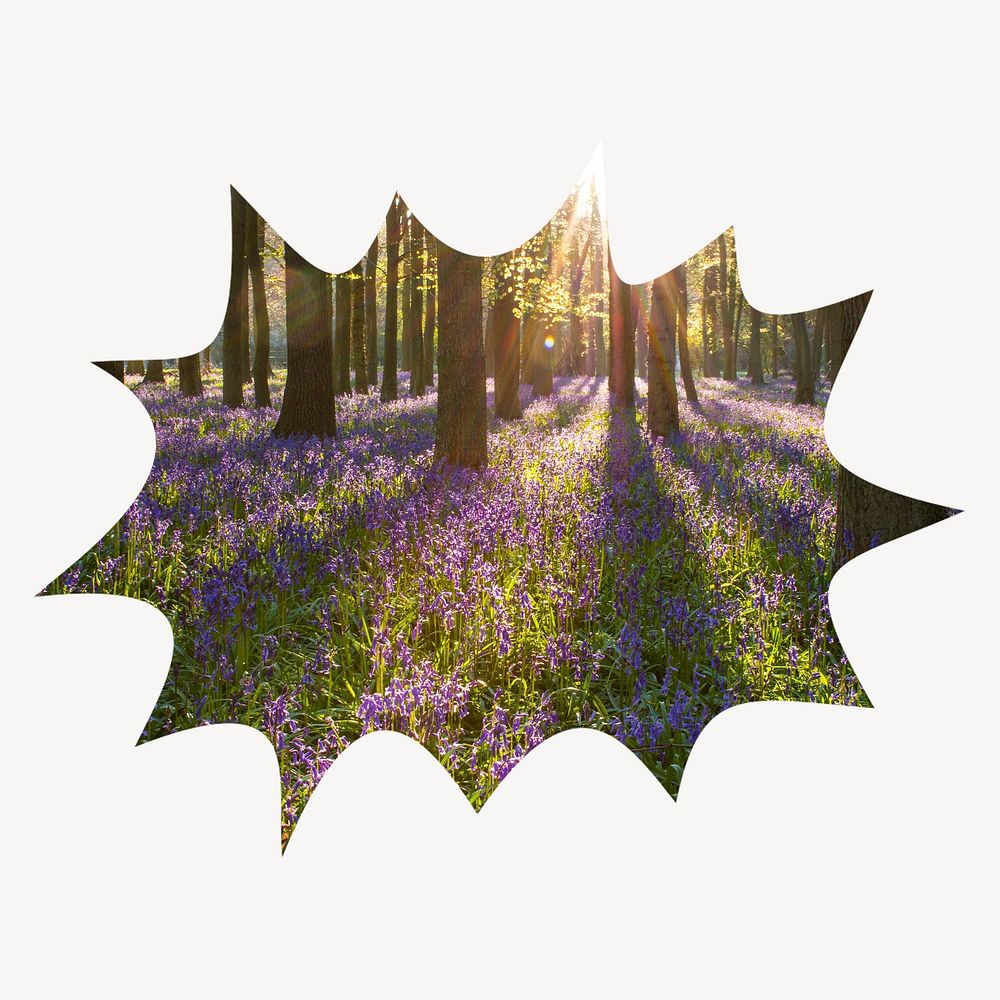 Lavender field bang  shape badge, nature photo 