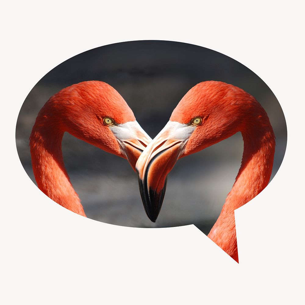 Flamingo heads speech bubble badge, animal photo
