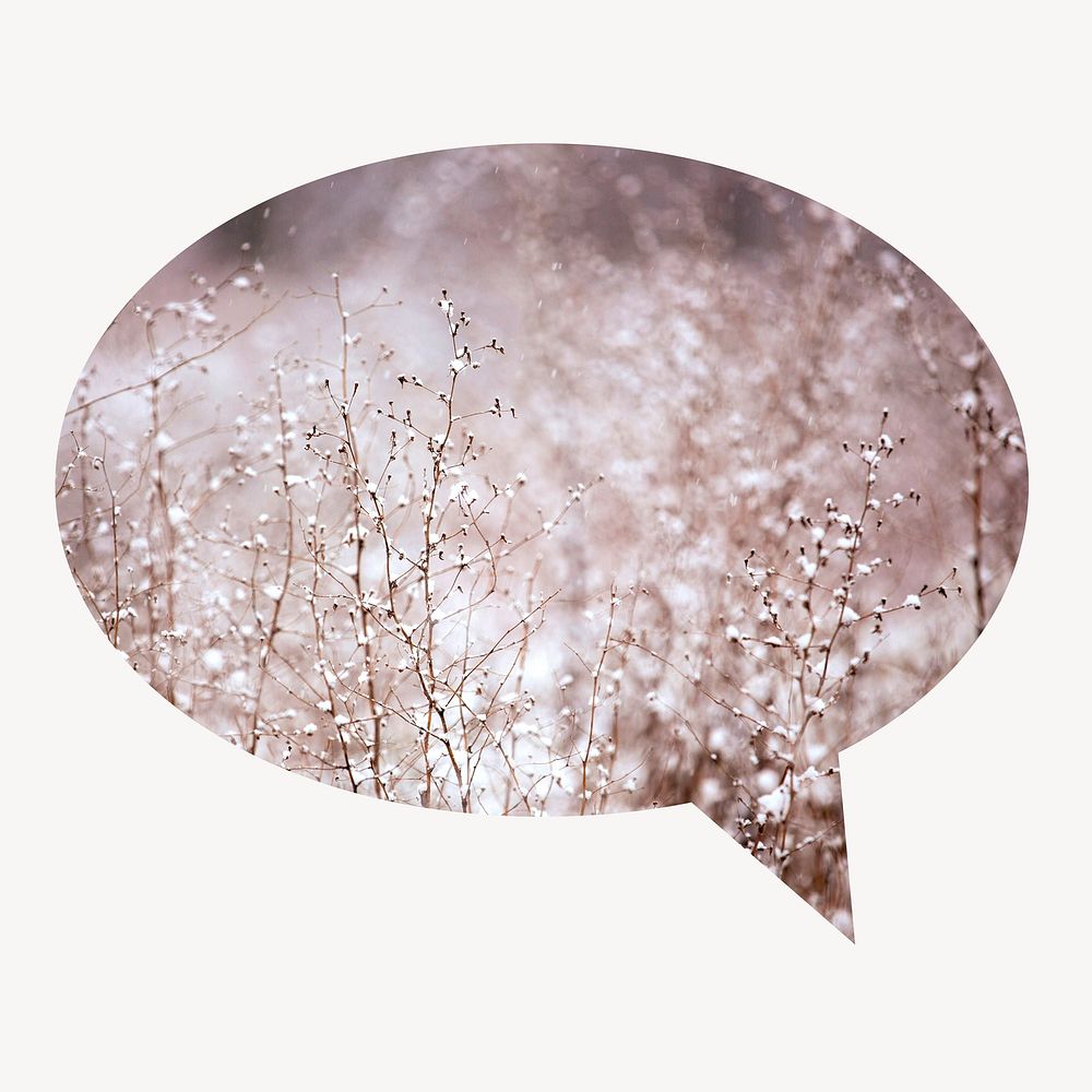 Winter flowers speech bubble badge, aesthetic photo