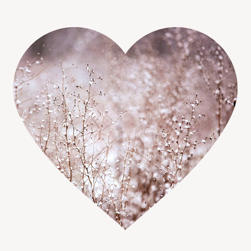 Winter flowers heart shape badge, aesthetic photo