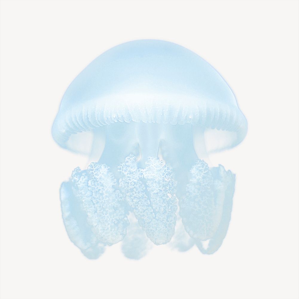 Blue jellyfish sticker, sea animal image psd