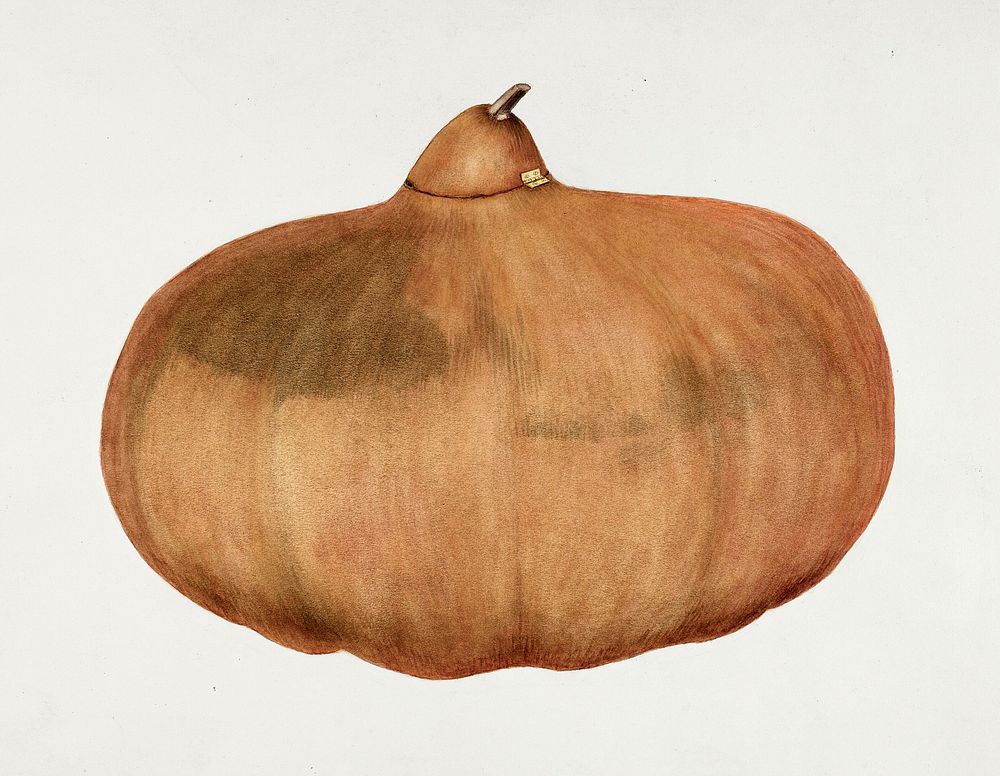Pioneer Salt Gourd (1935&ndash;1942) by Elbert S. Mowery. Original from The National Gallery of Art. Digitally enhanced by…