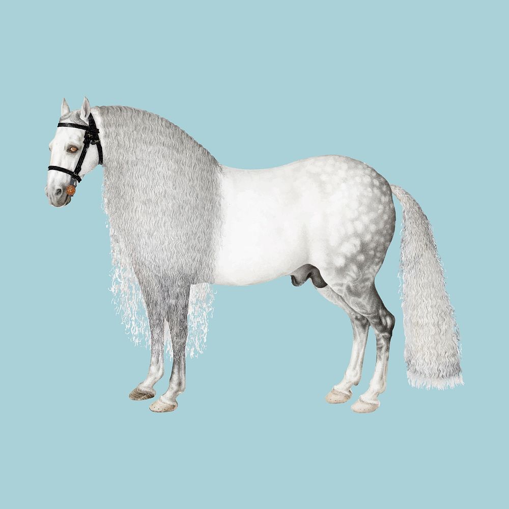 Vintage horse sticker, animal illustration, classic vector collage element