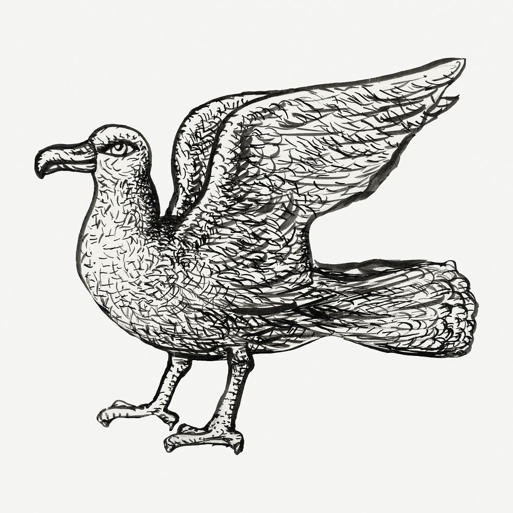 Vintage seagull hand drawn illustration, remixed from artworks from Leo Gestel