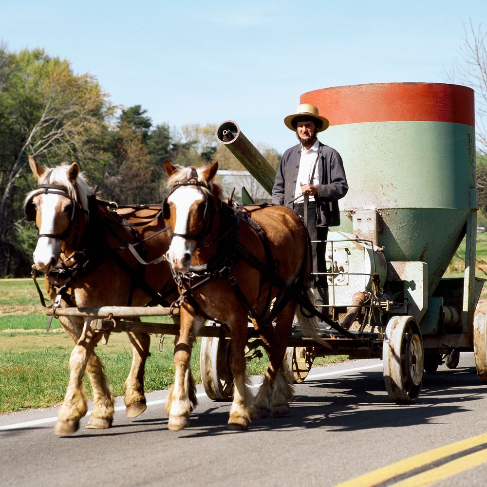 Amish man on gasoline generator buggy in Pennsylvania. Original image from Carol M. Highsmith&rsquo;s America, Library of…
