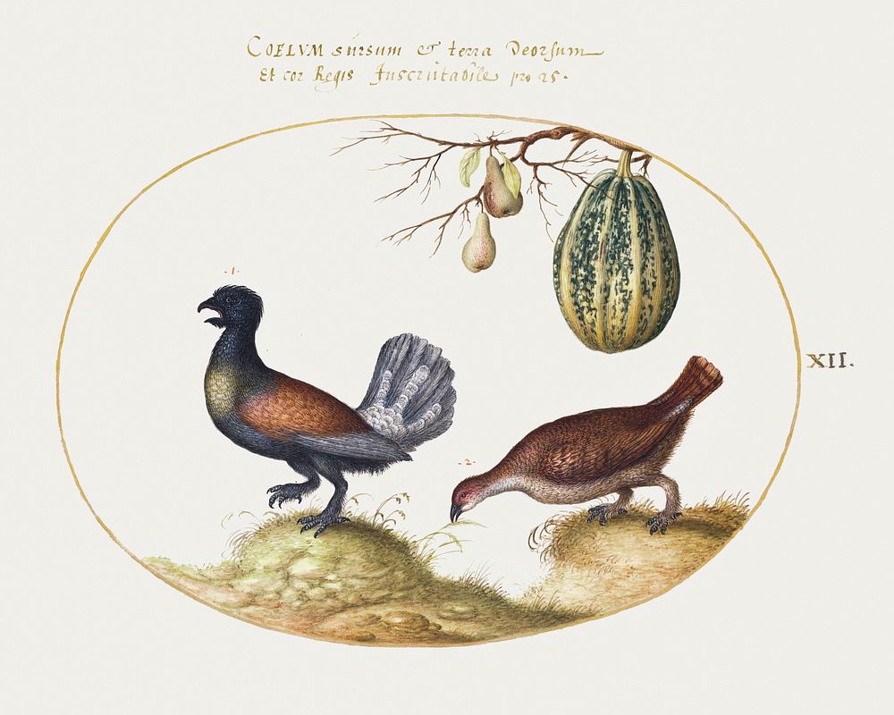 Pair of Wood Grouse with a Melon and Pears (1575&ndash;1580) painting in high resolution by Joris Hoefnagel. Original from…